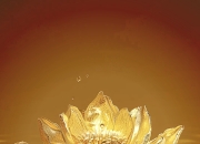 棋牌游戏-包含澳门金莲蓬勃发展，气质独特的词条