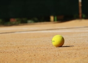 开云棋牌官方-美国网球队力克日本网球队，德约科维奇打破历史纪录