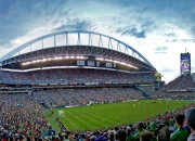 棋牌游戏-帕尔默惊艳四座，阿尔及利亚终结厄瓜多尔