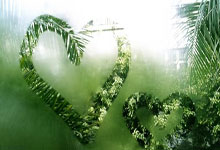 游戏试玩模拟器-冰与火的碰撞，孟菲斯灰熊如何以下狗之姿爆冷击败辽宁队？