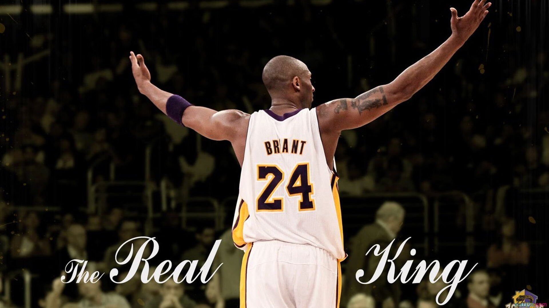 攻防两端铸就唯一性，西亚卡姆的统治之夜与猛龙的战术革命